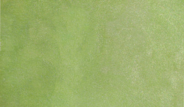 Pearl May Green 751 +++