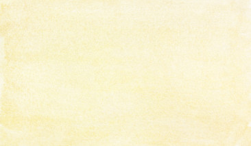 Starry Champagne Gold 904 +++