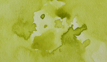 Greenish Yellow 48 +++