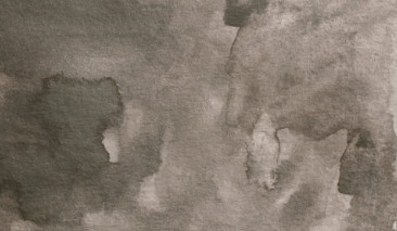 Graphite Brown 270 +++