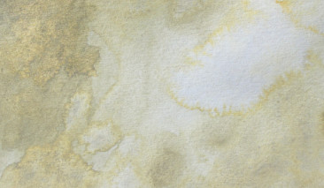 Beige Gray 406 +++