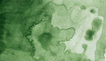 Green Gray 504 +++