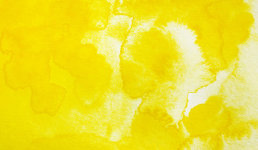Saffron Yellow 404 +++