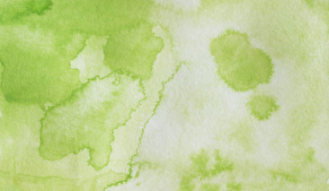 Pea Green 501 +++