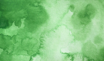 Ivy Green 505 +++