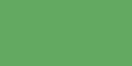 May Green 505
