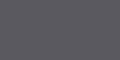 Cool Gray 10 C10