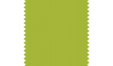 Lime Green 17 50g