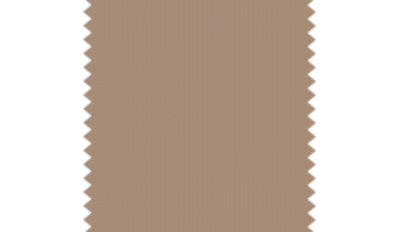 Beige 20 50g