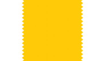 Yellow 31 13g