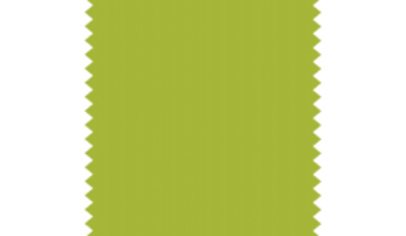 Lime Green 47 13g