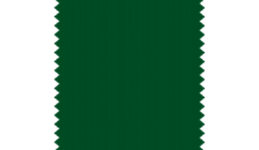 Green 48 13g