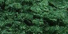 Mica Dark Green 1Kgr
