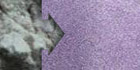 Mica Chameleon White-Purple 1Kgr