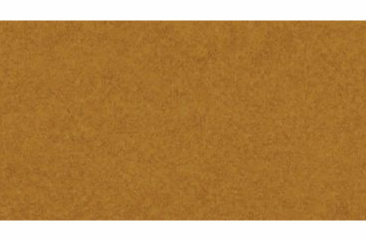 75ml Raw Sienna BRCN32174 +++ ST