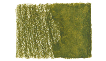 Olive Green Yellowish 173 ++