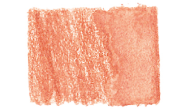 Cinnamon 189 ++