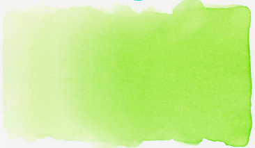 Light Green 601 30ml