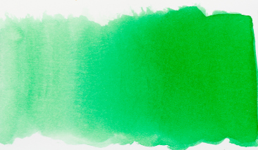 Forest Green 656 30ml