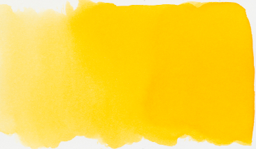 Yellow Deep 202 490ml