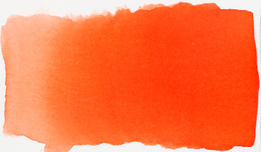 Vermilion 311 490ml