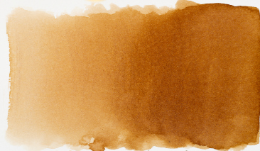 Sepia 416 490ml