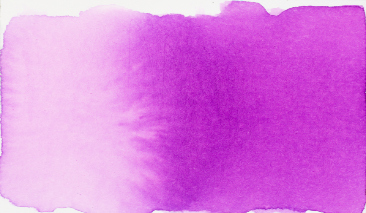 Red Violet 545 490ml