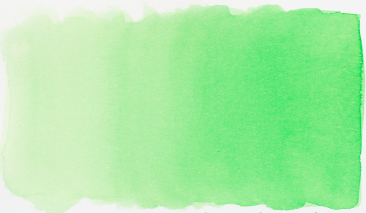 Green 600 490ml