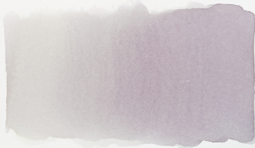 Cold Grey 717 490ml