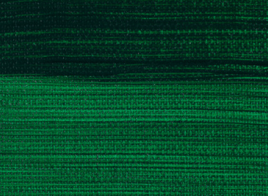 Permanent Green Deep 619 40ml S2 +++ T