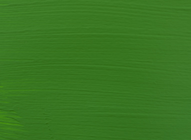 Permanent Green Light 618 1 LTR +++ SO