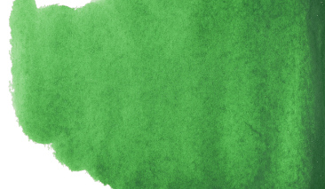 Permanent Green 662 10ml +++ T