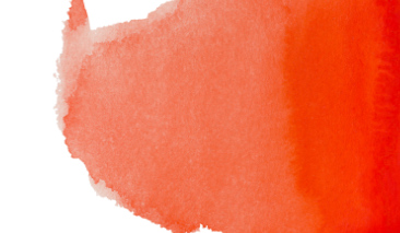 Vermilion 311 +++ T