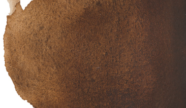 Burnt Umber 409 +++ T G