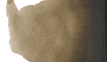 Sepia 416 +++ T