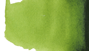Sap Green 623 +++ T