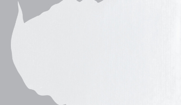 Transparent Titanium White 112 S.1 +++ T