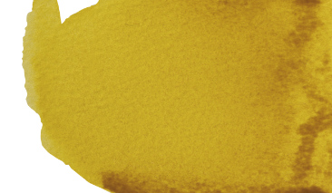 Aureoline 242 S.3 +++ T