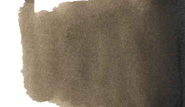 Sepia 416 S.1 +++ T