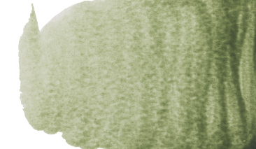 Terre Verte 629 S.1 +++ T G