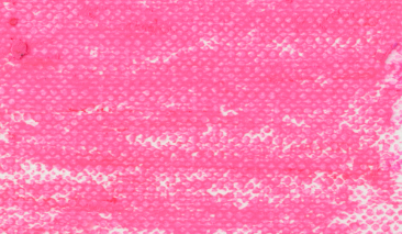 Deep Rose 362,5 +++