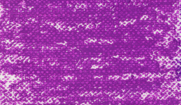 Violet 536,5 +++