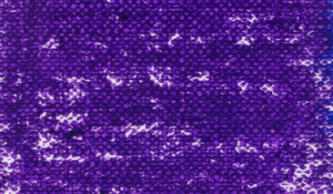 Blue Violet 548,5 +++