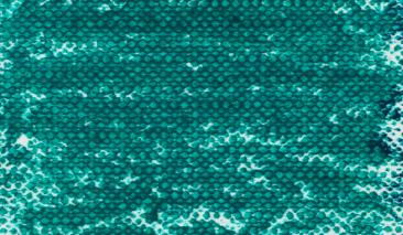 Viridian 616,3 +++