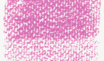 Permanent Rose 397,7 ++