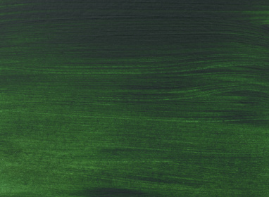 Sap Green 623 120ml +++ ST