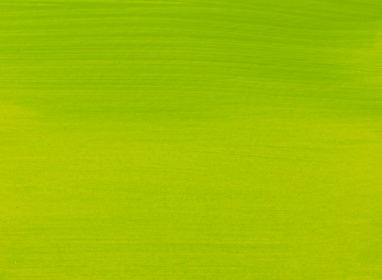 Yellow Green 617 1 LTR +++ SO