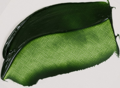 Sap Green 60ml 623 S1 +++ T