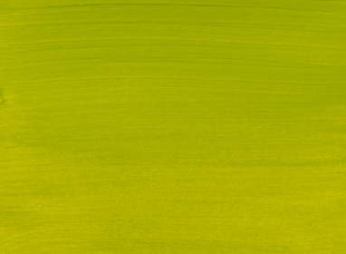 Olive Green Light 621 120ml +++ SO