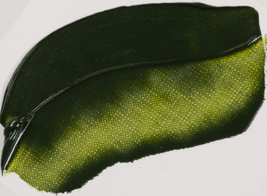 Permanent Olive Green 200ml 620 S2 +++ T